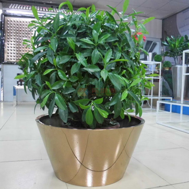 城市景觀不銹鋼電鍍大花盆